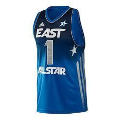 Adidas Camiseta Derrick Rose All Star East (blau/silber)