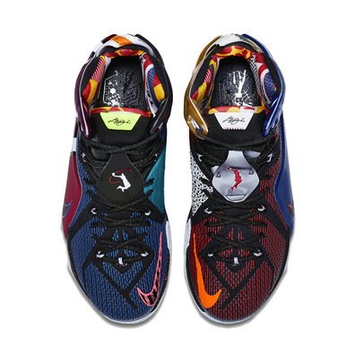 Lebron XII SE Premium "What The" (909/multicolor/phantom/cao)