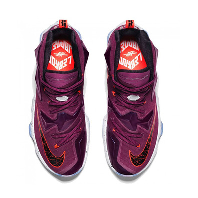 Lebron 13 "Written In The Stars" Kinder (500/Mulbeer/schwarz/purple)