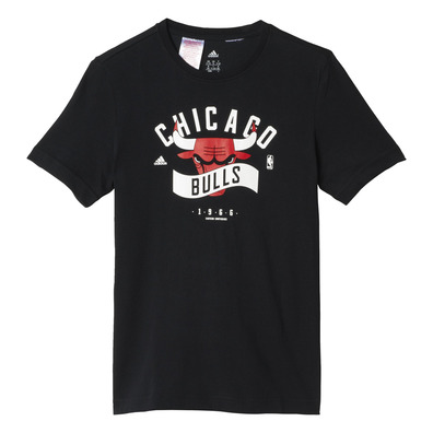 Adidas NBA Niño Camiseta Team Chicago Bulls (schwarz/weiß/rot)