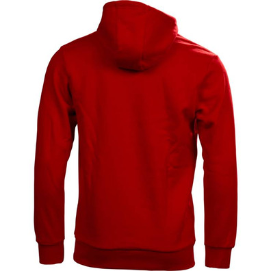 Adidas Sudadera Graphics Team Chicago Bulls (rot/weiß/schwarz)