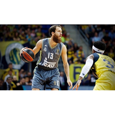 Camiseta Sergio Rodríguez #13# Real Madrid Basket 2015-2016 (gris/volt)