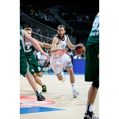 Sergio Rodríguez Real Madrid Basket 2014 (blanca)