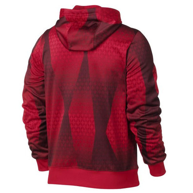 Lebron Hoody Capucha Hero Print FZ Hoody (657/red/black)