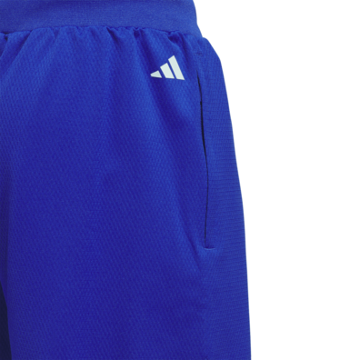 Adidas Basketball Auswahl Shorts "Blaue Königlichkeit"