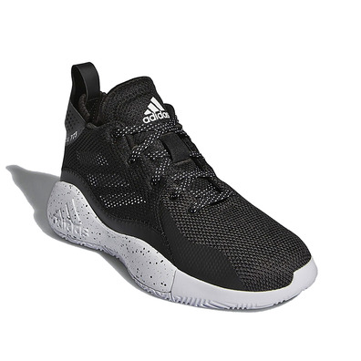 Adidas D. Rose 773 2020 Jr "Schwarz"