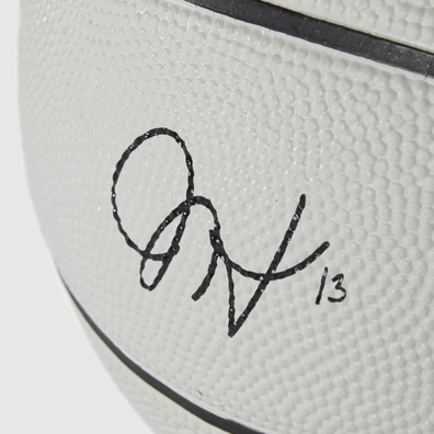 Adidas James Harden Mini Ball (3)