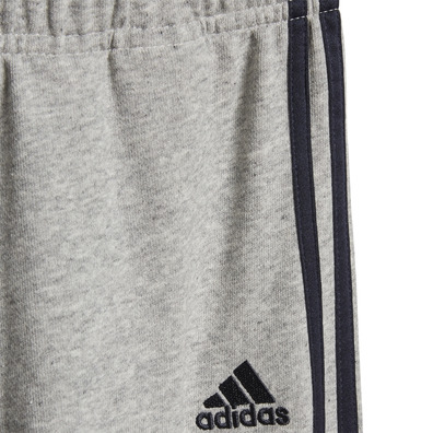 Adidas Training Collegiate Trainingsanzug