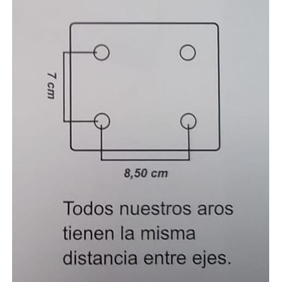 Aro Basculante Escolar Top Basket (2 muelles)