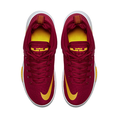 Lebron Zoom Witness "Cavaliers" (601)