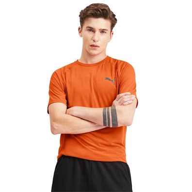 Puma Evostrip Tee