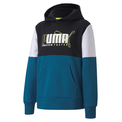 Puma Junior Alpha Hoodie FLEISCH