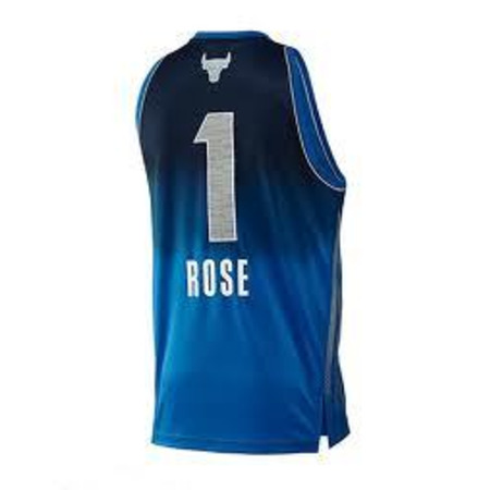 Adidas Camiseta Derrick Rose All Star East (blau/silber)