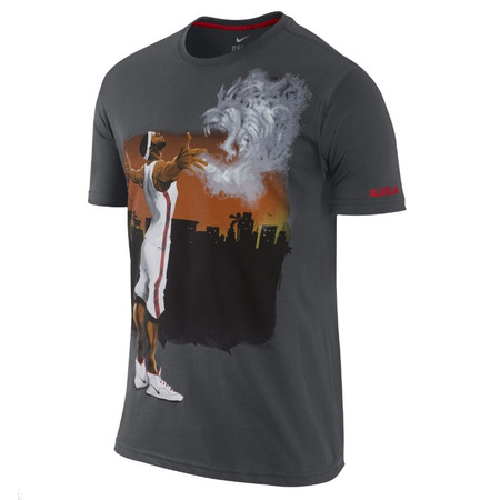 Camiseta Lebron Gemälde (060/anthrazit)