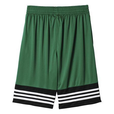 Adidas Basic Short Boston Celtics (verde/negro/blanco)