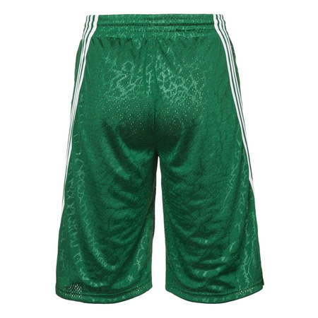 Adidas NBA Kurz Boston Reversible Smer R (verde/negro)