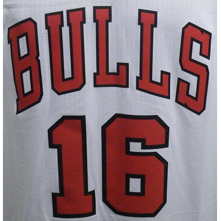 Adidas Camiseta Swingman Pau Gasol Bulls (weiß/rot)