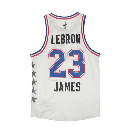 Lebron All Star T-Shirt Dieses NYC 15 (weiß/blau)