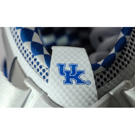 Lebron Soldier IX Premium "Kentucky" (104/white/silber/gym royal)