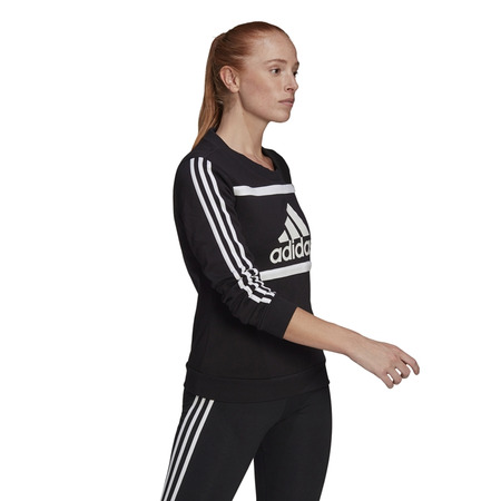 Adidas Essentials Logo Colorblock Sweatshirt