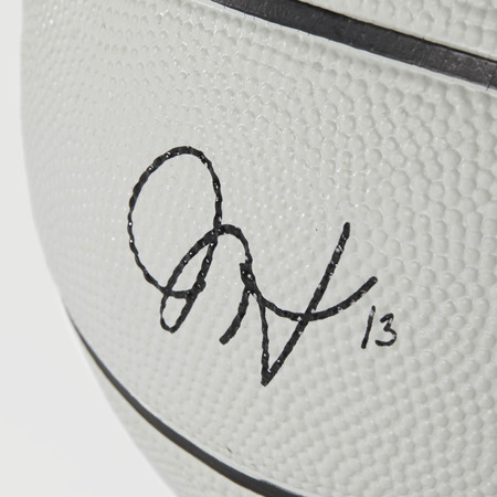 Adidas James Harden Mini Ball (3)