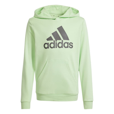 Adidas Junior Big Logo Essentials Baumwolle Hoodie "Green Mint"