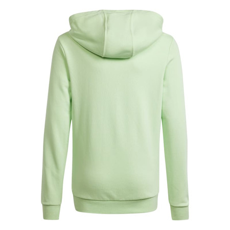 Adidas Junior Big Logo Essentials Baumwolle Hoodie "Green Mint"