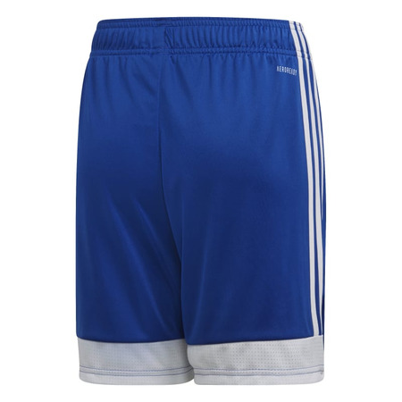 Adidas Junior Tastigo 19 Kurz "Bold Blue"