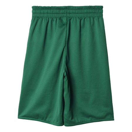 Adidas NBA Short Niño Boston Celtics Winter Hoops Rev (schwarz/grün/weiß)