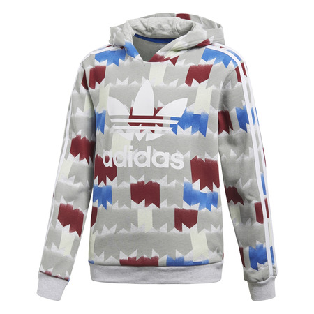 Adidas Originals Junior Graphic Soccer Hoodie