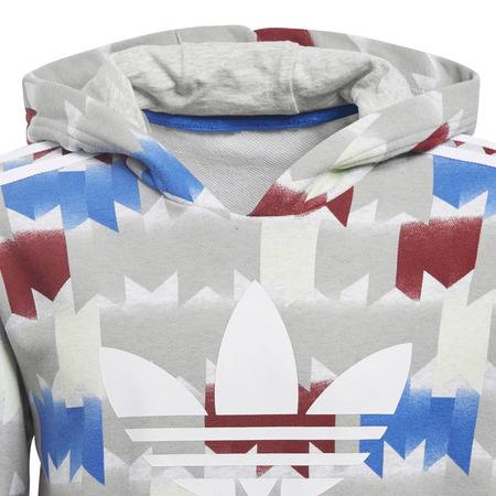 Adidas Originals Junior Graphic Soccer Hoodie