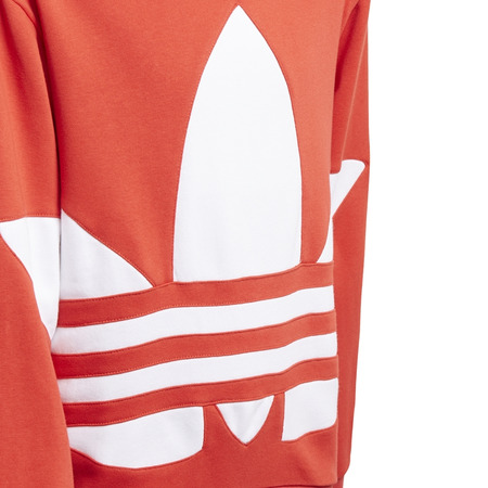 Adidas Originals Junior Big Trefoil Hoodie