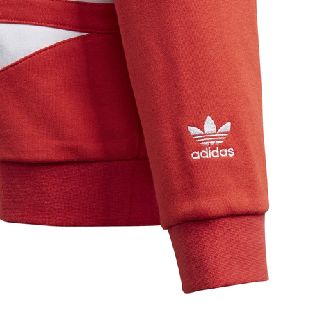 Adidas Originals Junior Big Trefoil Hoodie