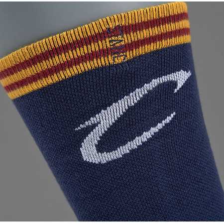 Stance Cavs Arena Logo (navy) Socken