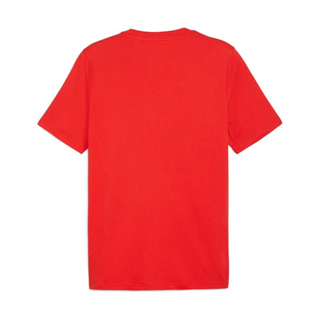 Camiseta Puma SCHAUBILD Sommer "Rot"