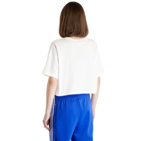 Champion Rochester Buchhandlung Cropped Cotton T-Shirt "White"