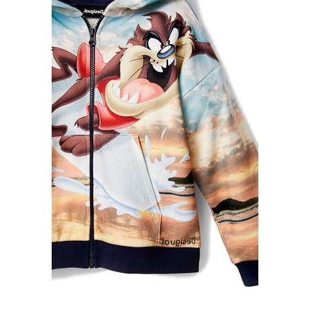 Desigual Junior Looney Tunes Hoodie