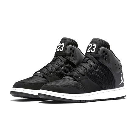 Jordan 1 Flug 4 Premium (GS) "Night" (022)