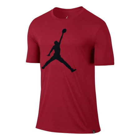 Jordan Iconic Jumpman Logo (687)