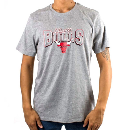 Neue Era Chicago Bulls Apparel Tee LGH Lavine