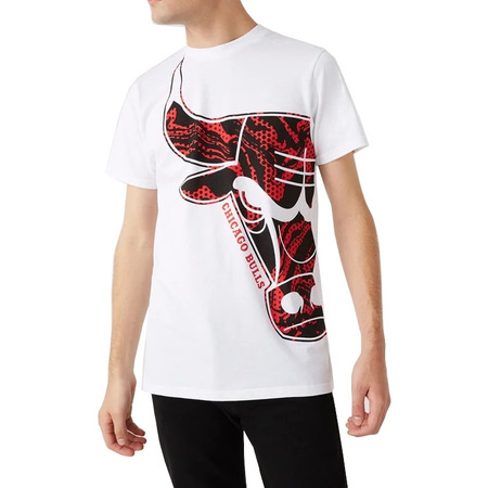 Neu Era NBA Chicago Bulls Öl Slick Infill Logo T-Shirt