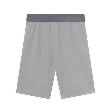 Nike Dri-Fit Jungen Basketball Shorts "Gray"