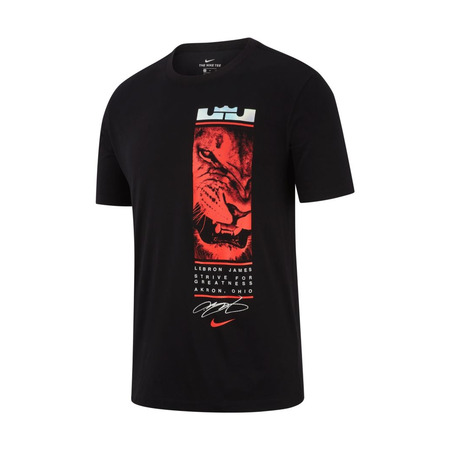 Nike Dri-FIT LeBron Tee