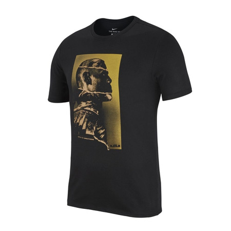 Nike Lebron Leiter trockener Tee