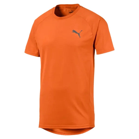 Puma Evostrip Tee