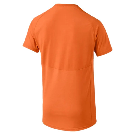 Puma Evostrip Tee