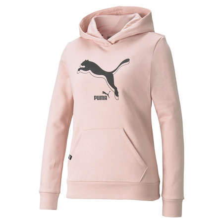 Puma Power Logo Hoodie