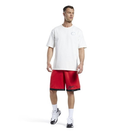 Reebok Basketball Mesh Shorts "Vector Red"