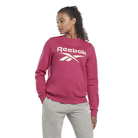 Reebok Identität Logo Fleece Hoodie