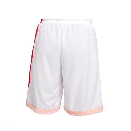 Kurz Nike Dri-FIT Herren Basketball "Coral"